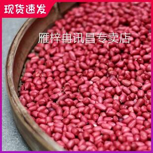 红衣花生米年新货生的剥壳红皮新鲜小粒下酒生花生米大粒花生