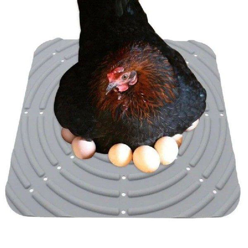 Versatile Silicone Pad for Chicken Raising and Breeding - 实物图