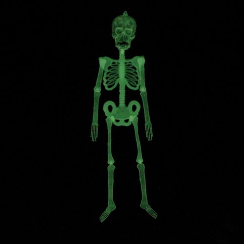 Spooky glow-in-the-dark skeletons decorated for Halloween