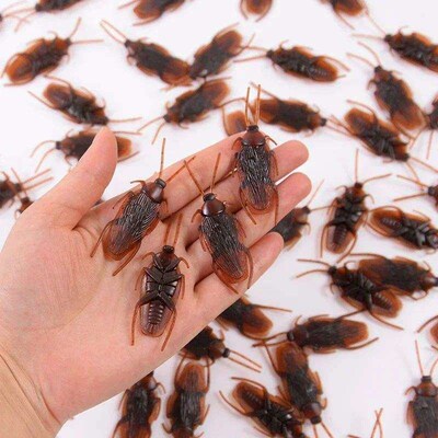 10-80Pcs Artificial Cockroach Realistic Fake Roach Insects N