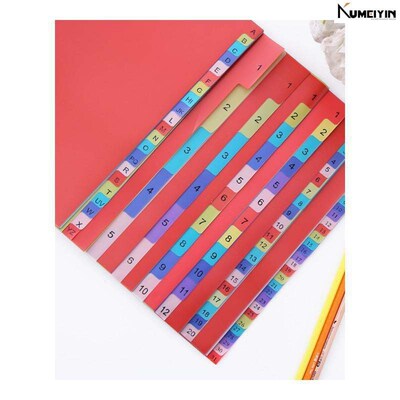 new 12sheets A4 Colored PP Binder Index Dividers Office Sch