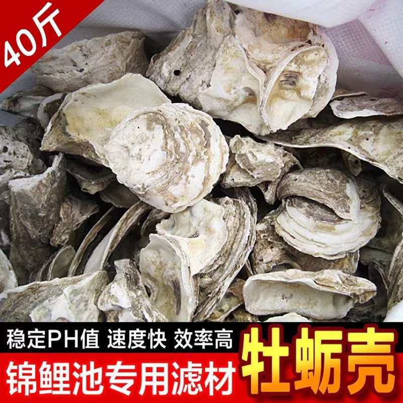 天然蚝壳牡蛎壳锦鲤鱼池鱼缸专用滤材过滤材料稳定PH值增加钙水质,3C数码配件,其它配件,淘宝优惠券,粉丝福利购,淘宝优惠卷