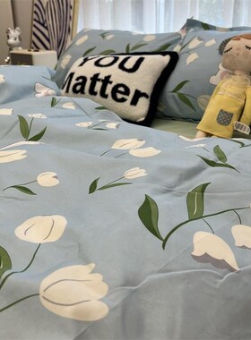 4pc bedsheet set bed sheet quilt blanket duvet cover sets