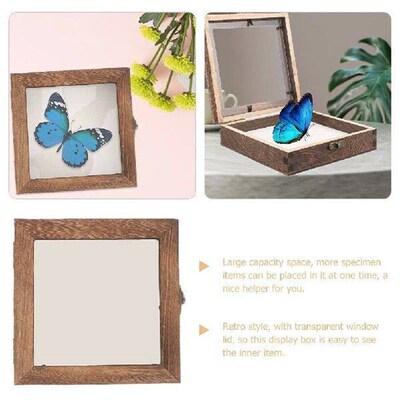 Specimen Frame Case Vintage Display Dried Flower Storage