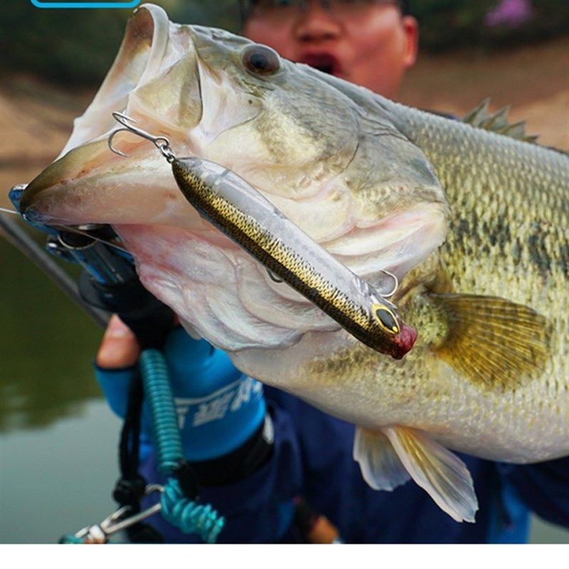 蓝旗鱼路亚饵王道1号水面系超浮水铅笔翘嘴海鲈淡水通用远投,户外/登山/野营/旅行用品,路亚饵,淘宝优惠券,粉丝福利购,淘宝优惠卷