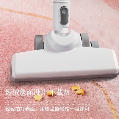 春夏季短绒免洗地毯客厅高级感茶几毯耐脏卧室床边地垫可机洗满铺