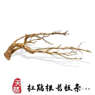 杜鹃根枝条沉木水草造景树枝木头装饰花艺站台南美缸树形鱼缸细枝