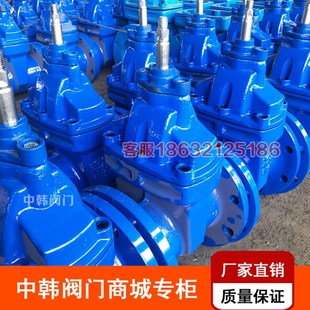 软密封闸DN 1暗杆弹性座封闸 100 200 Z5X