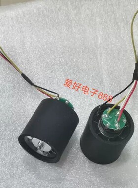 鱼子酱吹风机P1,高速风叶电机 BL22.M0002,110W/55W,9成新