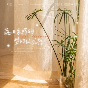 法式纱帘流光纱梦幻感窗帘纱摄影背景布装饰纱幔咖啡店氛围感薄纱