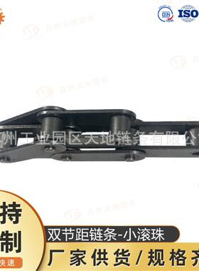 供应A系列双节距C2160H(C232AH)直板输送小滚子链条厂家直销