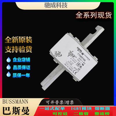 巴斯曼170M5160 170M5161 170M5162 经销零售 低压熔断器
