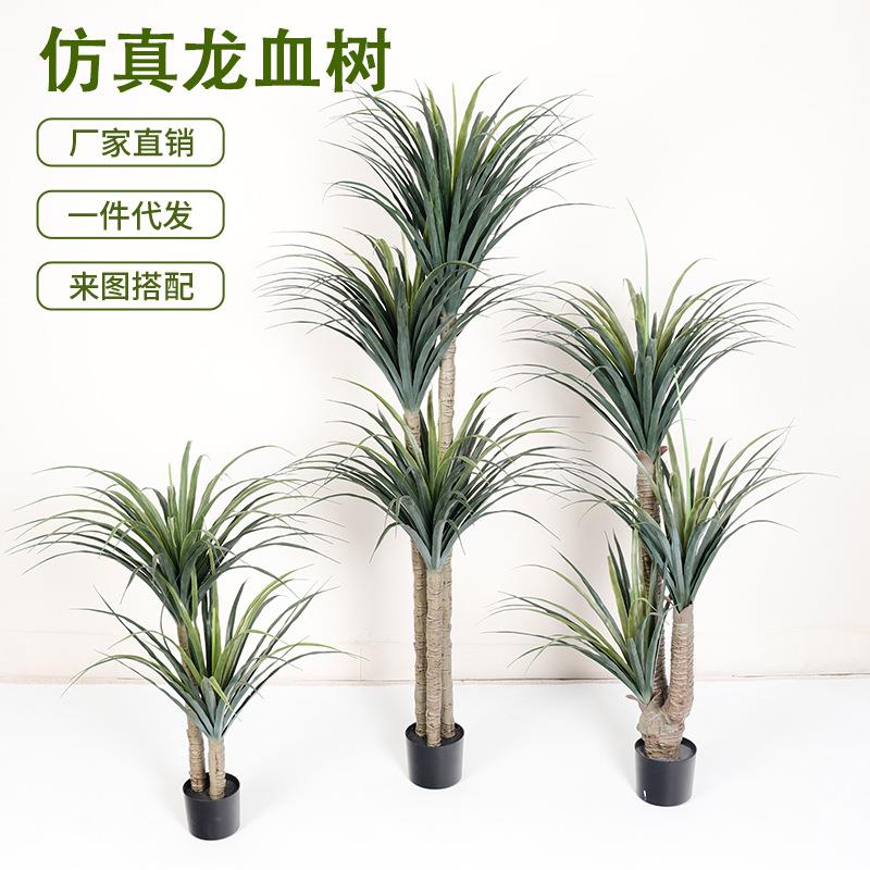 仿真龙血树大型落地假绿植盆栽室内客厅装饰摆件龙舌兰假植物造景