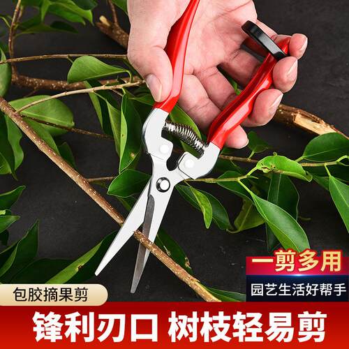 园艺摘果剪蔬果剪树枝剪葡萄采果剪花艺盘景园林修枝剪工具