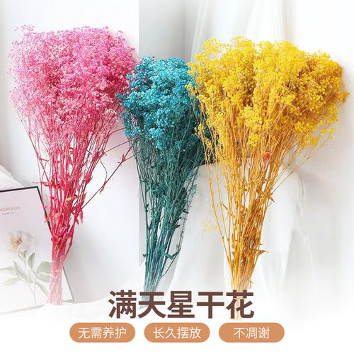 大束永生满天星干花花束摆件客厅装饰手工制作花材家居小清新插花