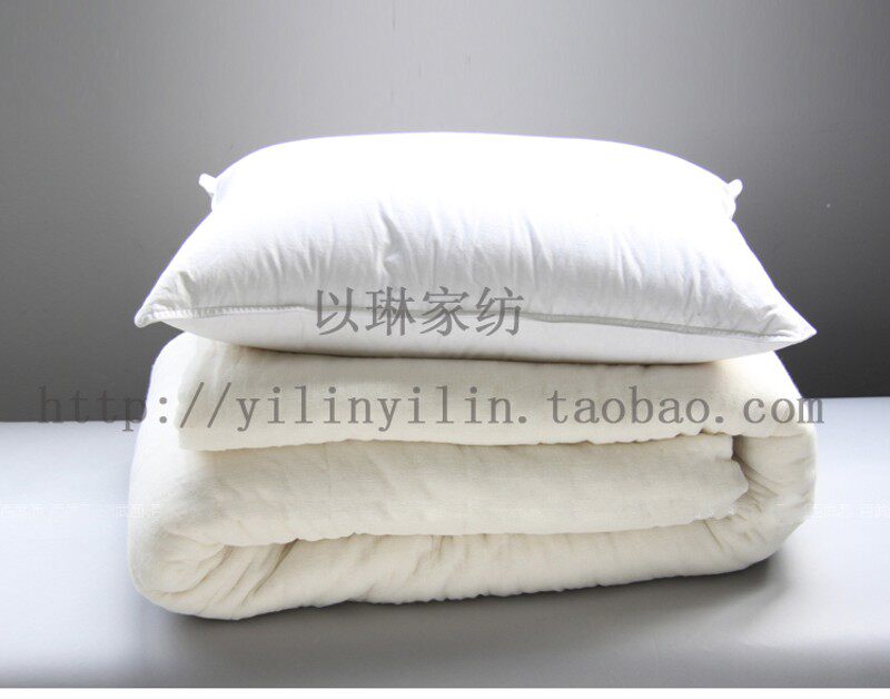 丝棉床褥棉垫被/床垫褥子/丝棉絮/有网棉垫 垫被冬用9斤10斤巨厚