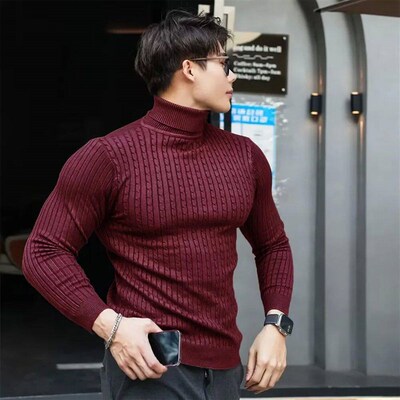New Mens Turtleneck Sweaters Autumn Knitted Striped