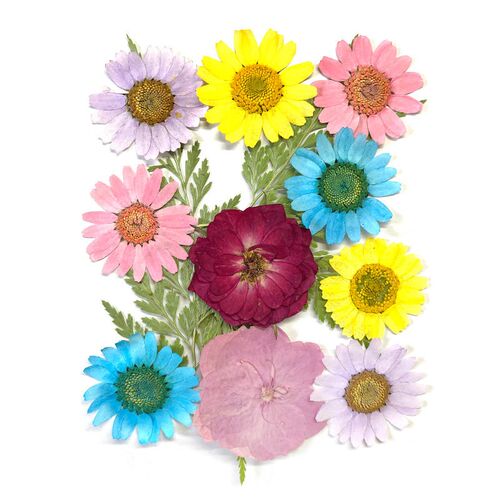 Strictly Selected Dry Flower Embossed Diy Material Package I