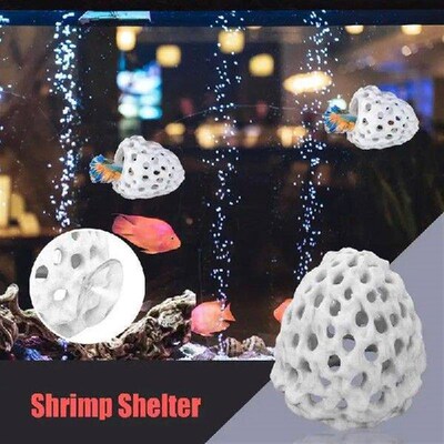 Multi-functional Shrimp House Simulation Porous Hole Coral