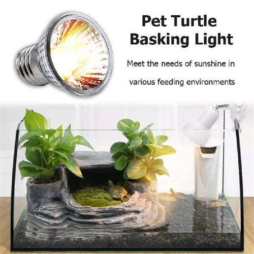 UV Light Bulbs Heating Temperature Controller Bulb Turtle