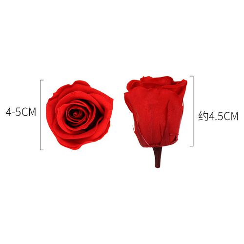 Free very Of Preserved Flower Material Wholesale 8 Pieces A