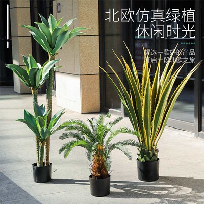 Simulation Green Plant Dutch Iron tee Potted Agave Plant Nor