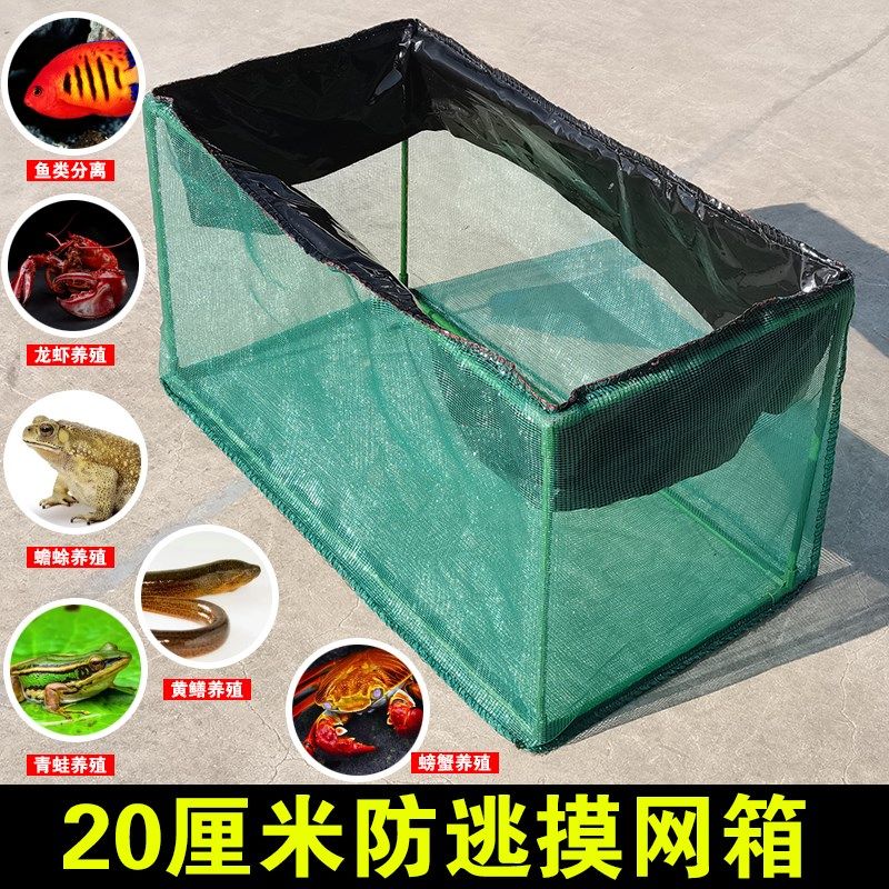 无盖支架撑架防逃泥鳅黄鳝龙虾螃蟹养殖养鱼存鱼鱼苗孵化隔离网箱,户外/登山/野营/旅行用品,鱼网/虾笼/其它渔具,淘宝优惠券,粉丝福利购,淘宝优惠卷