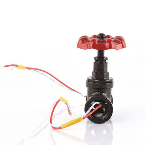 1/2 inch Globe Valve Light Switch with Wires Through Vintage