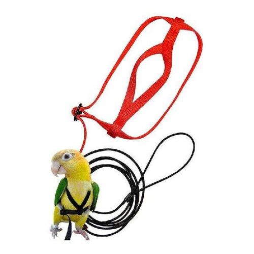 Pet Bird Harness and Leash,Adjustable Parrot Bird Harness