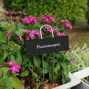 Metal Plant Information Tags Metal Planting Seedling Stake