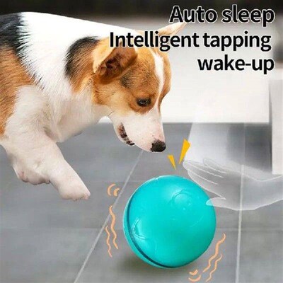 Interactive Dog Toys Dog Ball Bite Resistant Dog Toy Balls