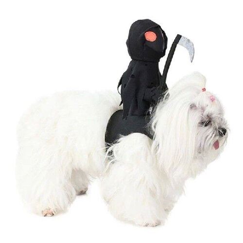 Cats Standing Dress Pet Make Up Costume Puppy Halloweens