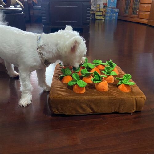 Pet Dog Snuffle Toy Pet InteractiveTraining Plush Molars Toy