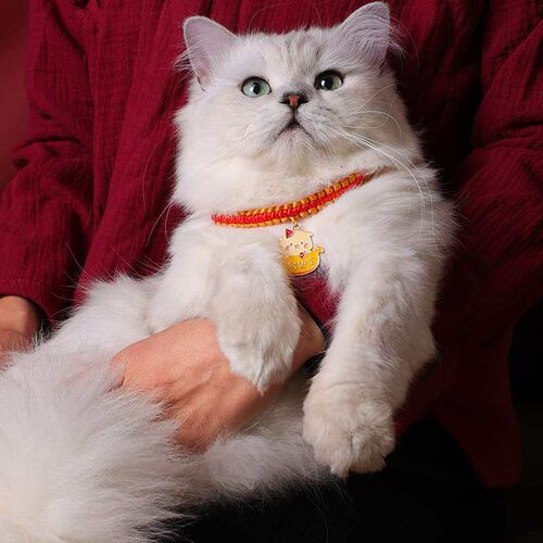 Rabbit Year New Year Pet Woven Neckl Adjustable Cat Dog Coll