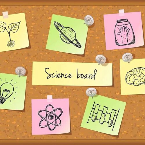 50pcs/box Transparent Push Pins Thumb Tacks Thumbtack Map Co