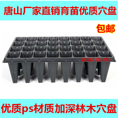 加厚育苗盘加高林木穴盘有孔平盘营养钵塑料多肉草莓 育苗箱 无孔