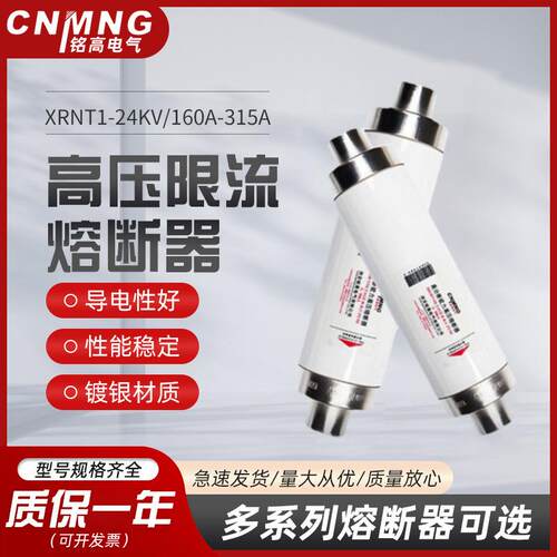 24KV负荷开关用高压限流熔断器XRNT1-24/125A-200A变压器保护用
