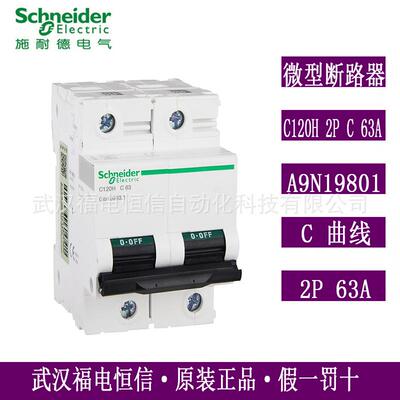梅兰日兰C120H微小型断路器C曲线C120H 2P C63A空气开关A9N19801