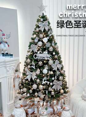 绿色圣诞树套餐家用加密1.5米1.8发光圣诞节装饰摆件大型晚会装饰