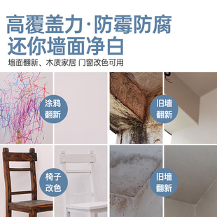 乳胶漆室内家用油漆墙漆刷墙涂料内墙自刷墙面翻新环保无味自喷漆