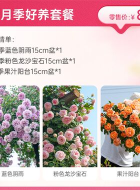 老客回归月季套餐【活动截止时间3月18日】