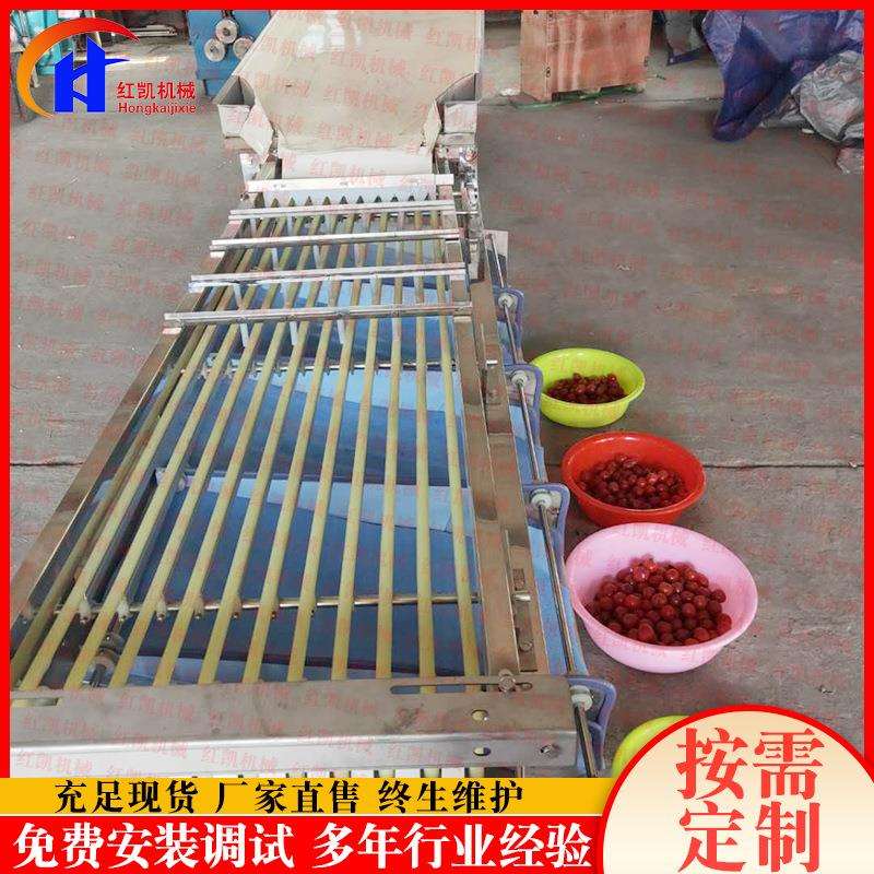 厂家供应轨道式圣女果分选机 水果分拣选果机 龙眼小红果分级机