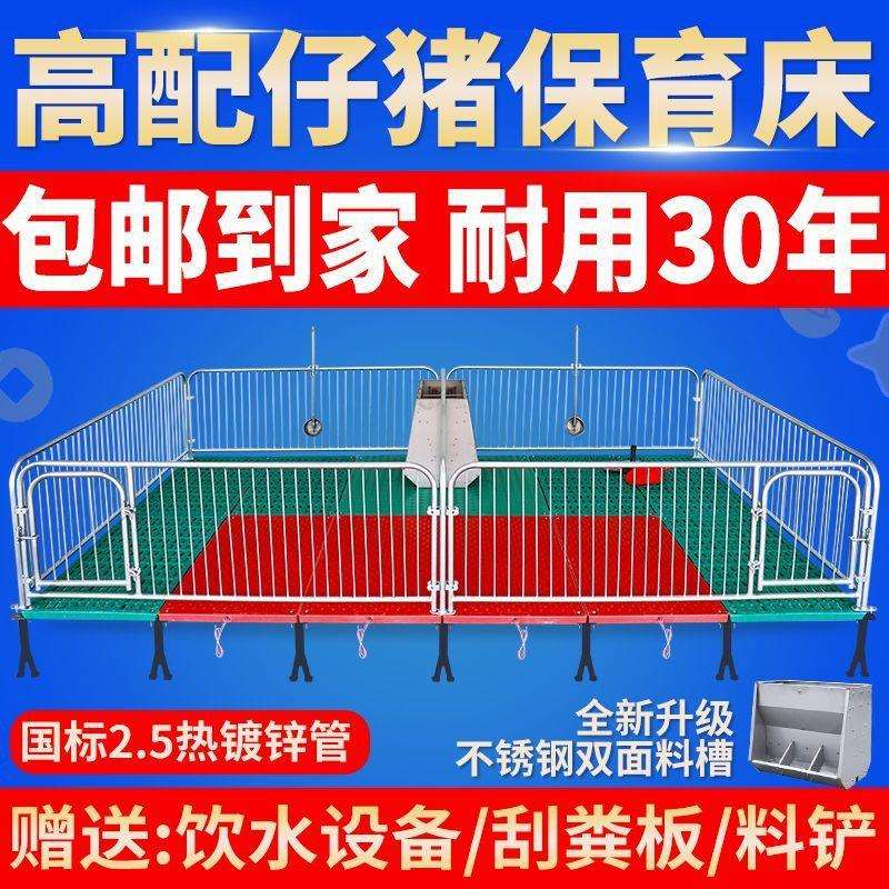 仔猪保育床热镀2.5小猪单双体保育栏母猪产床定位栏猪场养殖设备