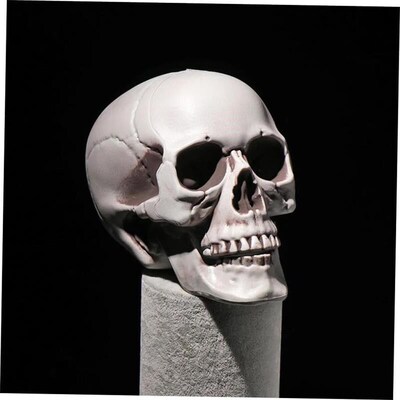 All Size Human Skull Head Skeleton Hanging Skull Halloween S