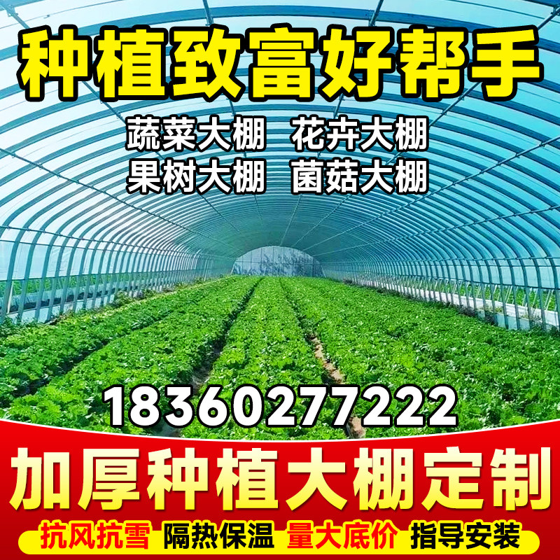 种植大棚骨架钢管全蔬菜大棚农业温室花卉家用大棚配件热镀锌管,农机/农具/农膜,温室大棚支架,淘宝优惠券,粉丝福利购,淘宝优惠卷