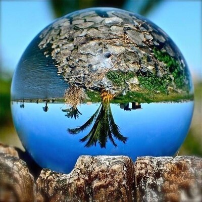 y lens ball photo prop background lensball home decor glass