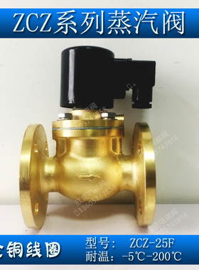 DN法兰蒸汽电磁常闭1寸 ZCZ-F  2V 先导式蒸汽电磁