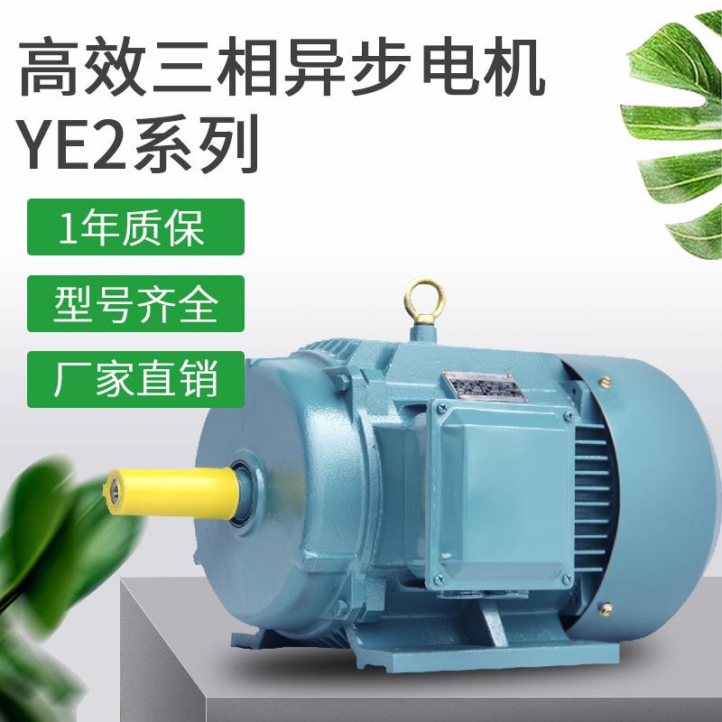 工厂直供三相异步电动机YE3 11KW2P(11千瓦2极)粤智菱全铜电动机