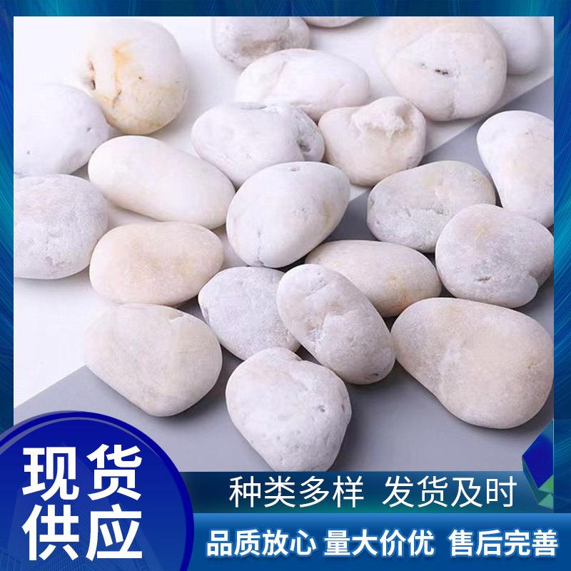 白色普抛鹅卵石工程铺路园林景观雨花石鱼缸造景石沙石头园林专用