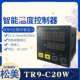 Q20W智能温度控制器继电器 供应SOMMY 固态输出 R20W 松美TR4